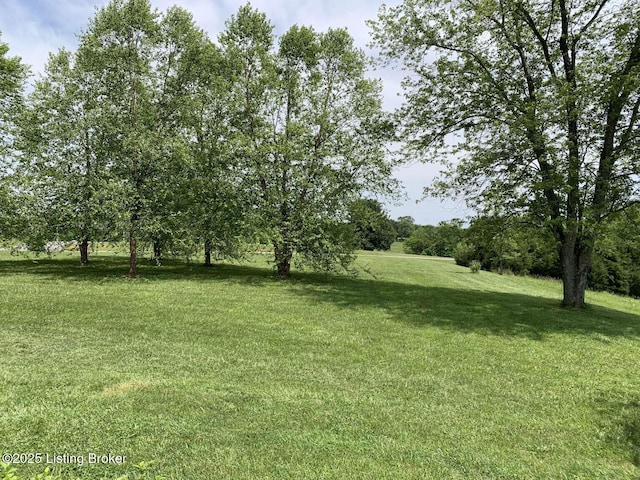 1015 Gilead Fairview Rd, Canmer, KY 42722 - photo 5