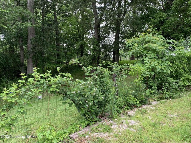1015 Gilead Fairview Rd, Canmer, KY 42722 - photo 10