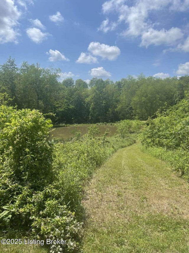 1015 Gilead Fairview Rd, Canmer, KY 42722 - photo 14