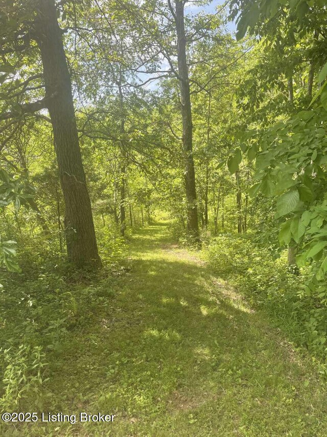 1015 Gilead Fairview Rd, Canmer, KY 42722 - photo 15
