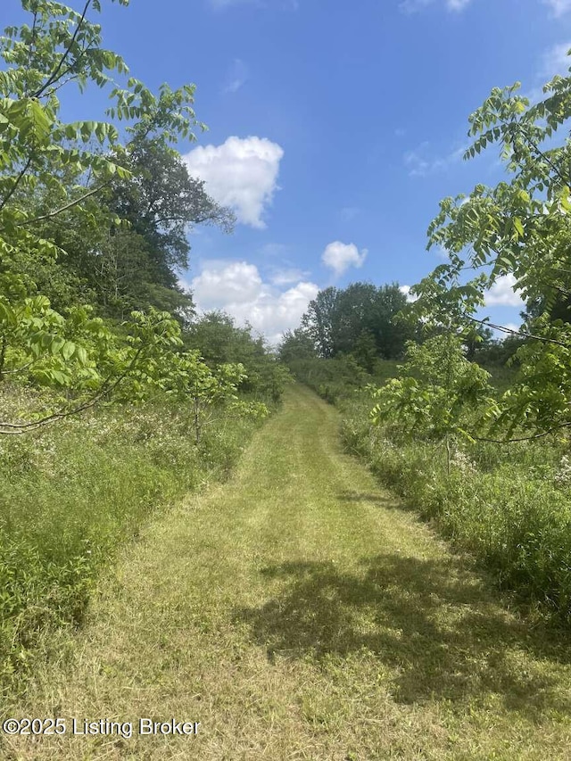 1015 Gilead Fairview Rd, Canmer, KY 42722 - photo 16