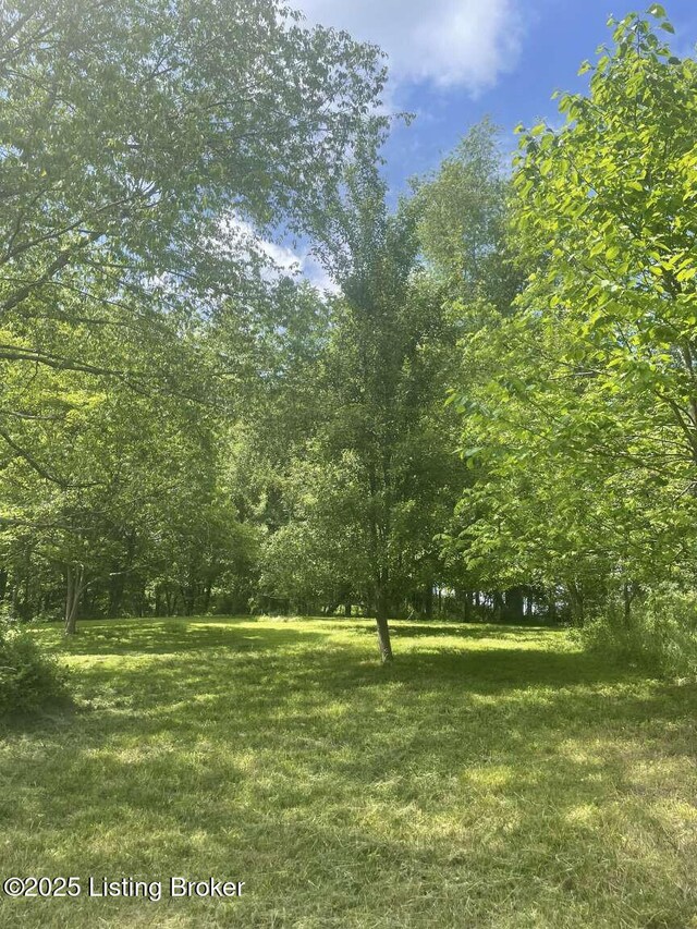 1015 Gilead Fairview Rd, Canmer, KY 42722 - photo 18
