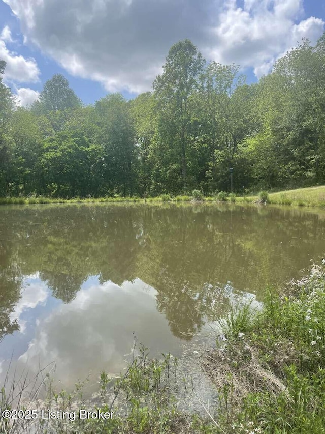 1015 Gilead Fairview Rd, Canmer, KY 42722 - photo 19