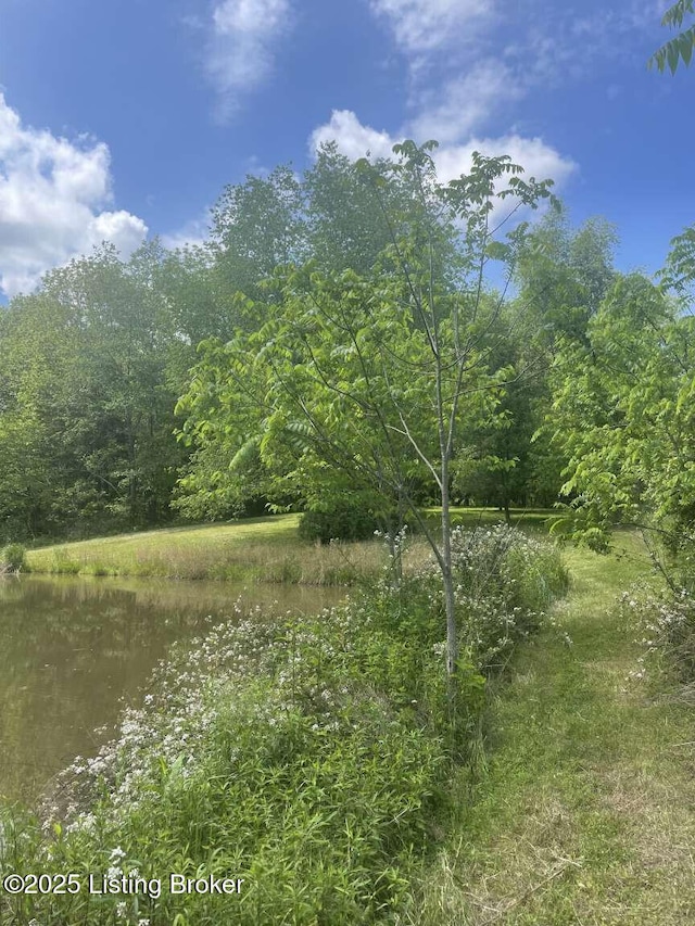 1015 Gilead Fairview Rd, Canmer, KY 42722 - photo 20