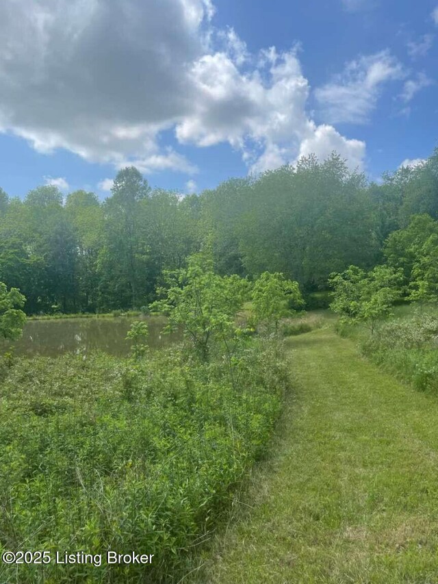 1015 Gilead Fairview Rd, Canmer, KY 42722 - photo 21