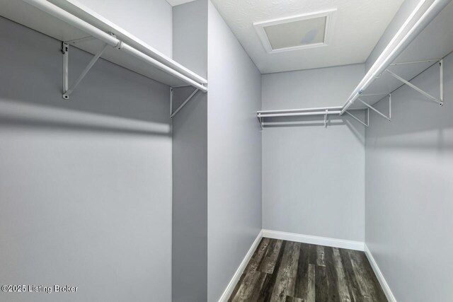 760 Leafdale Rd, Hodgenville, KY 42748 - walk in closet featuring dark wood-style floors