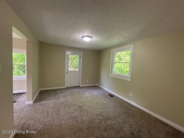 4515 Wolf Creek Rd, Battletown, KY 40104 - carpeted spare room with a textured ceiling and baseboards