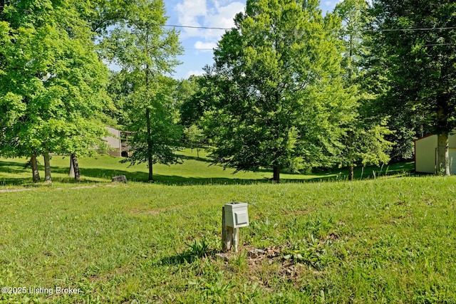 1210 Christian Church Rd, Brandenburg, KY 40108 - view of grassy yard