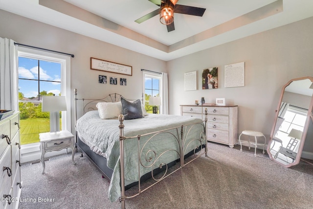 458 Christman Ln, Shepherdsville, KY 40165 - bedroom with carpet flooring, a raised ceiling, and a ceiling fan