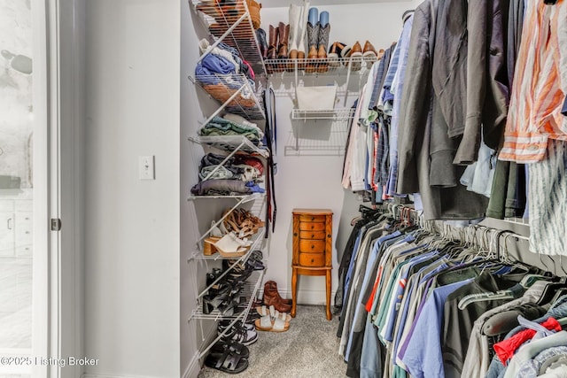 458 Christman Ln, Shepherdsville, KY 40165 - spacious closet featuring carpet flooring