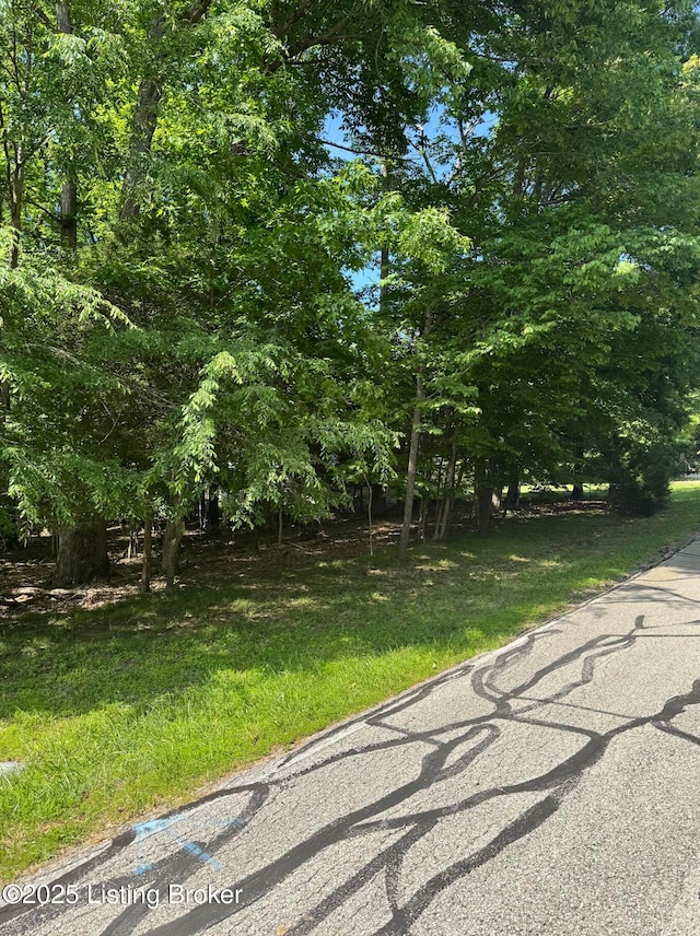 LOT246 Pine Point Rd, Brandenburg, KY 40108