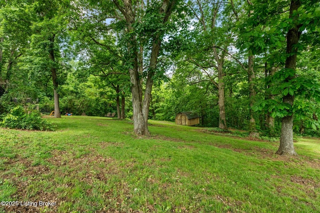 607 Edgemont Rd, Irvington, KY 40146 - view of green lawn