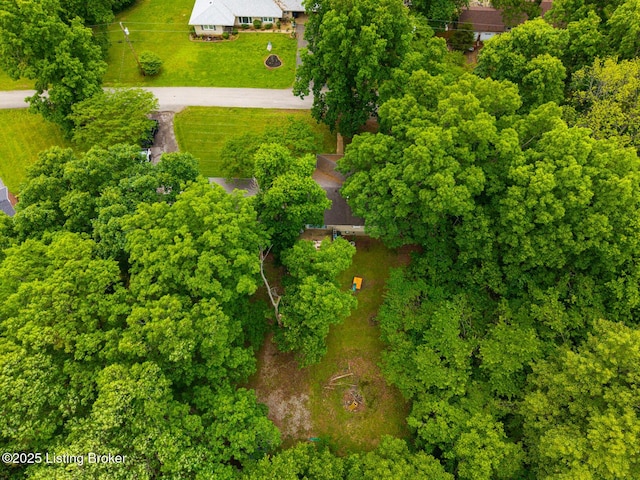 607 Edgemont Rd, Irvington, KY 40146 - drone / aerial view