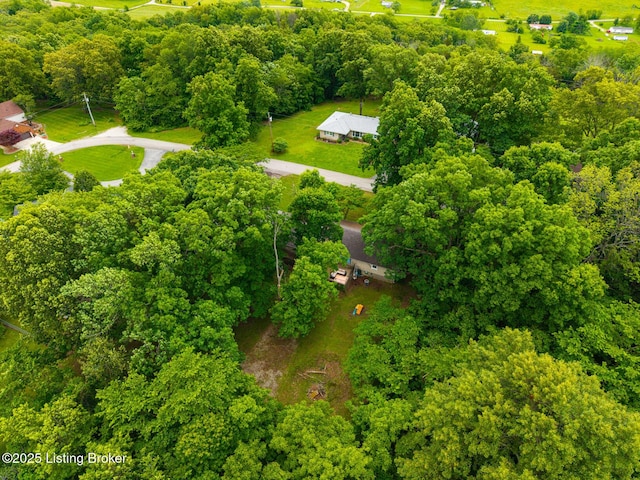 607 Edgemont Rd, Irvington, KY 40146 - bird's eye view