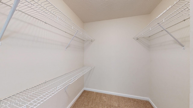85 Summitt Dr, Brandenburg, KY 40108 - walk in closet with carpet flooring