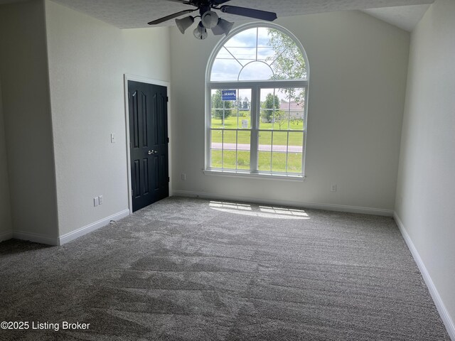 75 Labrador Way, Rineyville, KY 40162 - unfurnished room featuring carpet flooring, plenty of natural light, ceiling fan, and lofted ceiling