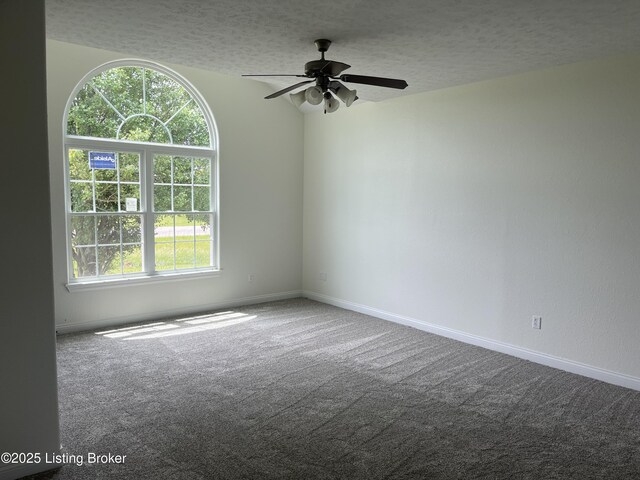 75 Labrador Way, Rineyville, KY 40162 - carpeted spare room with ceiling fan, a textured ceiling, and baseboards