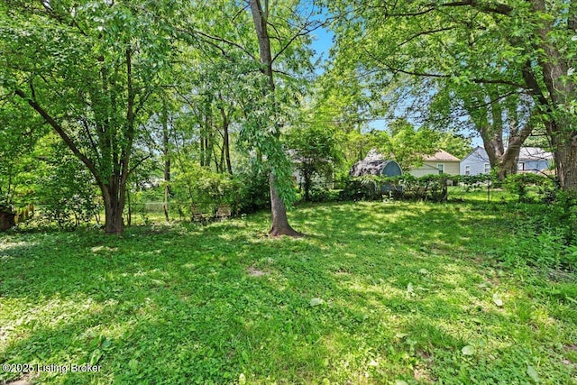 404 Diecks Dr, Elizabethtown, KY 42701 - view of yard