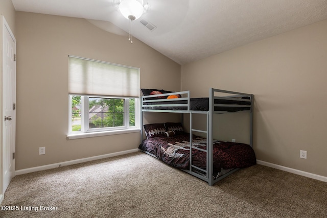 10207 Deer Vista Dr Unit 204, Louisville, KY 40291 - bedroom featuring carpet floors, vaulted ceiling, and baseboards