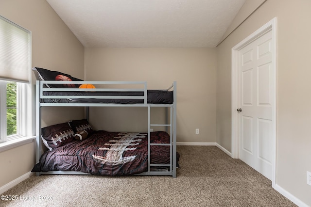 10207 Deer Vista Dr Unit 204, Louisville, KY 40291 - bedroom with carpet and baseboards