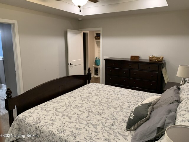 107 Clymene Rd, Cecilia, KY 42724 - bedroom featuring a raised ceiling
