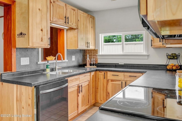 4309 Cavelle Ave, Louisville, KY 40213 - kitchen with stainless steel dishwasher, ventilation hood, a sink, dark countertops, and decorative backsplash
