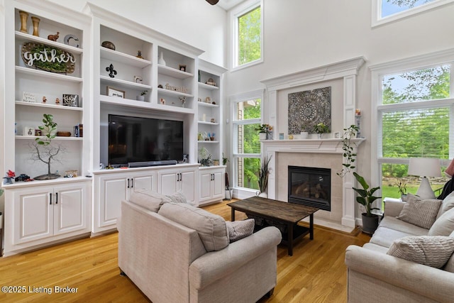 13318 Stepping Stone Way, Louisville, KY 40299 - living room featuring a premium fireplace, a towering ceiling, light wood finished floors, and plenty of natural light