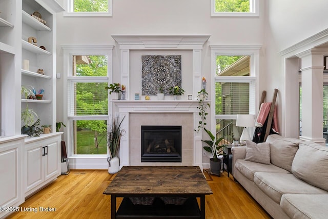 13318 Stepping Stone Way, Louisville, KY 40299 - living room featuring light wood-style flooring, a fireplace, healthy amount of natural light, and a high ceiling