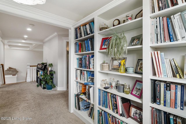 13318 Stepping Stone Way, Louisville, KY 40299 - sitting room with an upstairs landing, carpet floors, bookshelves, crown molding, and baseboards