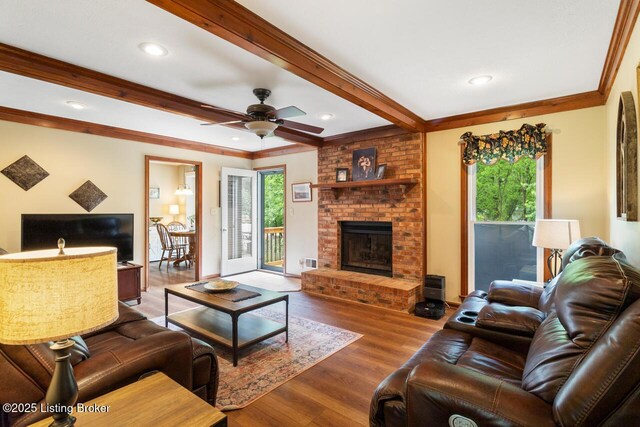 12115 Alpine Way, Goshen, KY 40026 - living area with healthy amount of natural light, crown molding, a fireplace, a ceiling fan, and wood finished floors