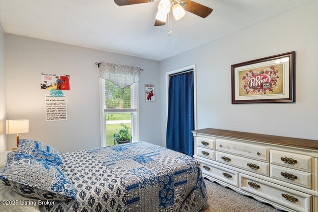 12115 Alpine Way, Goshen, KY 40026 - bedroom with a ceiling fan