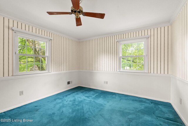 912 Fenley Ave, Louisville, KY 40222 - photo 23