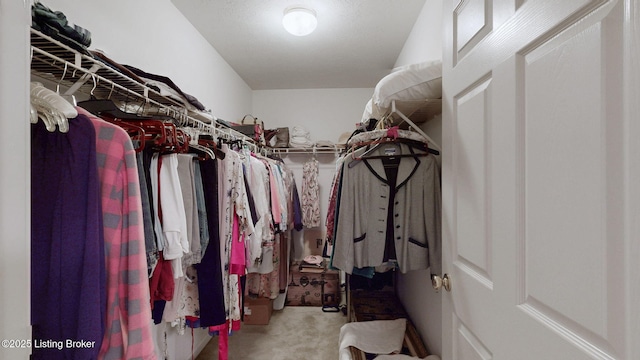 10409 Pine Glen Cir, Louisville, KY 40291 - view of spacious closet