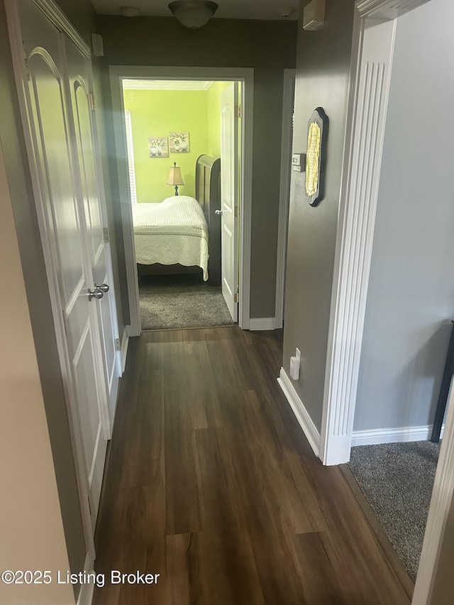 105B Twin Oaks Dr, Bardstown, KY 40004 - corridor with dark wood-style flooring and baseboards