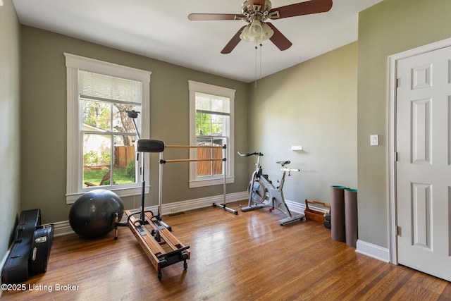 2023 Alta Ave, Louisville, KY 40205 - workout room with wood finished floors, a ceiling fan, and baseboards