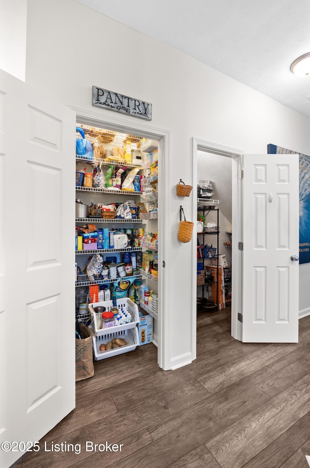 10119 Vista Springs Way, Louisville, KY 40291 - view of pantry