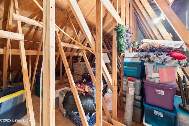10119 Vista Springs Way, Louisville, KY 40291 - view of attic