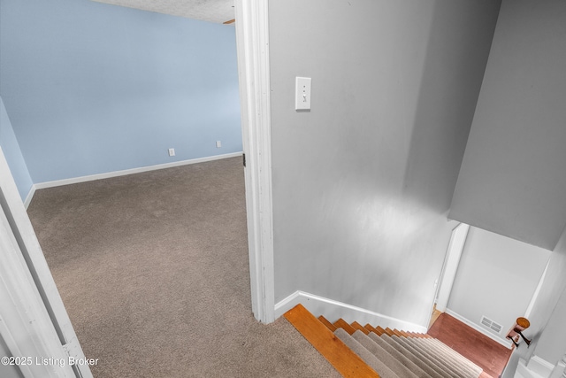 1312 Pollitt Ct, Louisville, KY 40223 - stairs featuring carpet flooring and baseboards