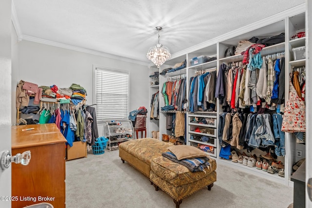 94 Tarnwood Dr, Brandenburg, KY 40108 - spacious closet featuring carpet flooring and a chandelier