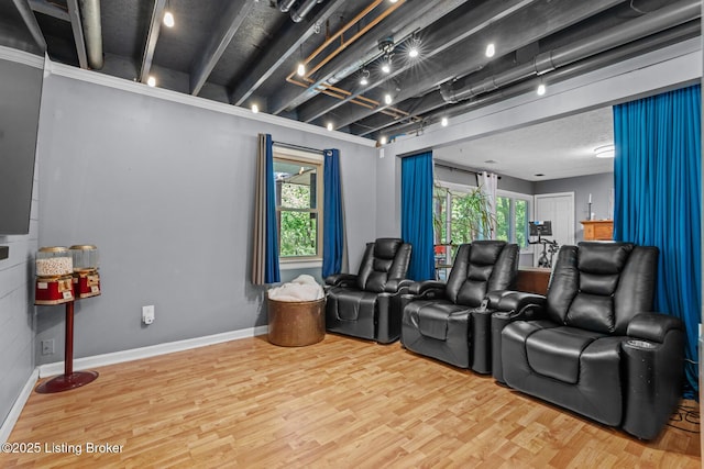 94 Tarnwood Dr, Brandenburg, KY 40108 - home theater room with healthy amount of natural light, wood finished floors, and baseboards