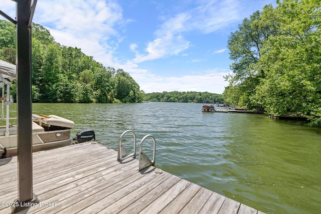 94 Tarnwood Dr, Brandenburg, KY 40108 - dock featuring a water view and a forest view