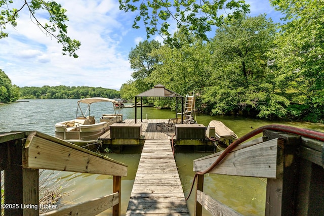 94 Tarnwood Dr, Brandenburg, KY 40108 - dock with a water view