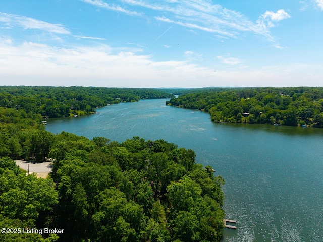 94 Tarnwood Dr, Brandenburg, KY 40108 - bird's eye view of a heavily wooded area and a nearby body of water
