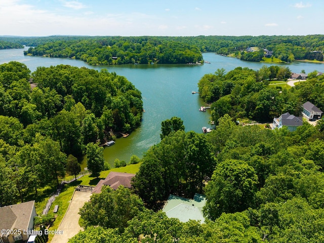 94 Tarnwood Dr, Brandenburg, KY 40108 - aerial view of a large body of water and a forest
