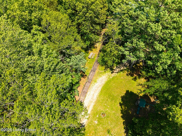 94 Tarnwood Dr, Brandenburg, KY 40108 - drone / aerial view