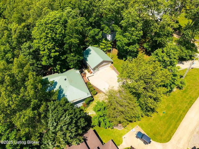 94 Tarnwood Dr, Brandenburg, KY 40108 - bird's eye view