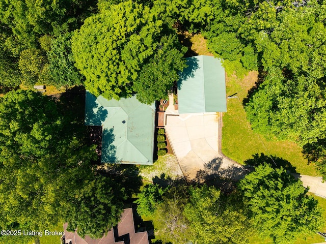 94 Tarnwood Dr, Brandenburg, KY 40108 - view from above of property