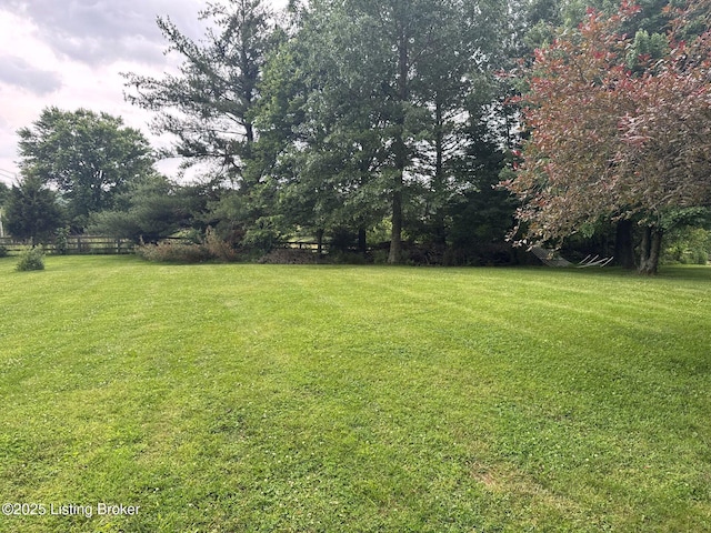 5309 Bardstown Rd, Springfield, KY 40069 - view of yard