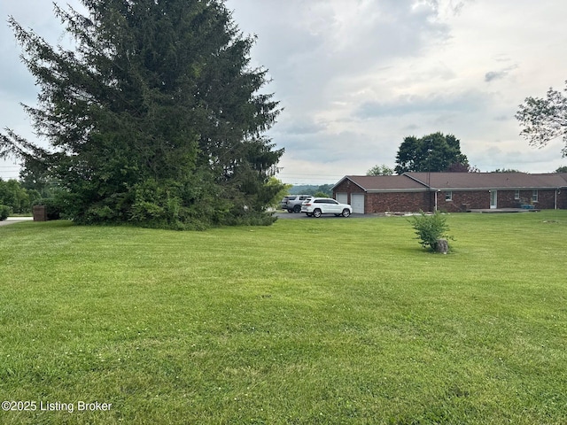 5309 Bardstown Rd, Springfield, KY 40069 - view of grassy yard