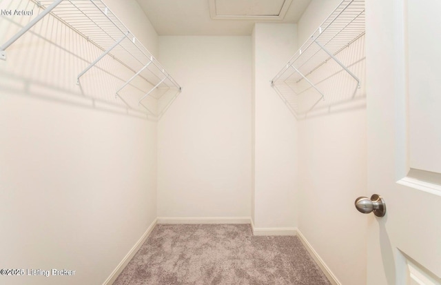 1853 Washington Blvd, Lyndon, KY 40242 - spacious closet featuring carpet floors and attic access